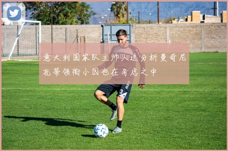 意大利国家队主帅人选分析曼奇尼孔蒂领衔小因也在考虑之中
